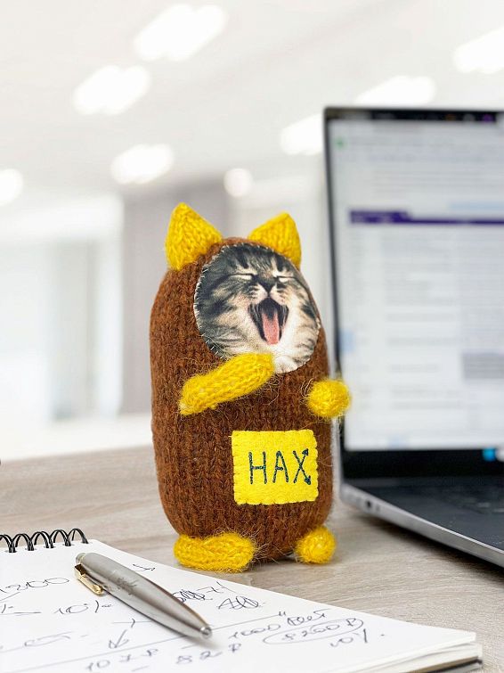 Игрушка котята Пох и Нах Для тех, у кого работа трудная и приходится общать...