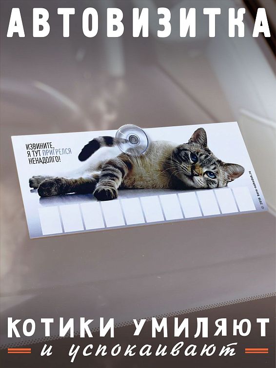 Автовизитка Извините, я тут ненадолго