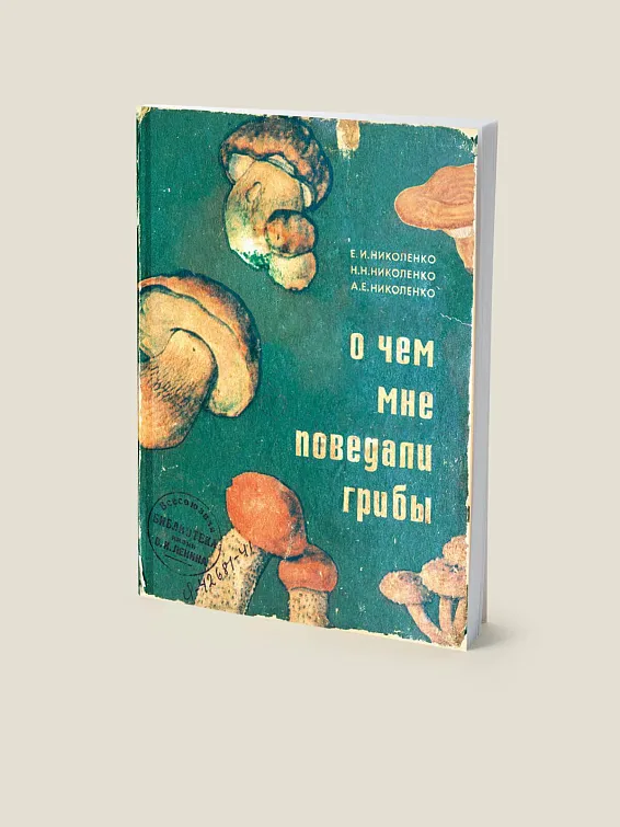 Лесные грибы на садовом участке – возможно ли?